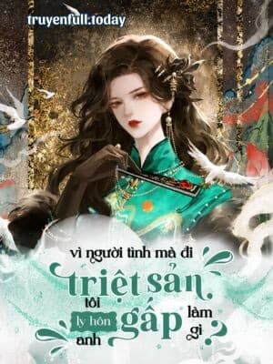 Thập Niên 70: Vì Người Tình Mà Đi Triệt Sản, Tôi Ly Hôn Anh Gấp Làm Gì?